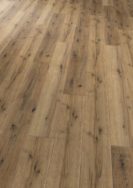 Commercial Everglade Oak